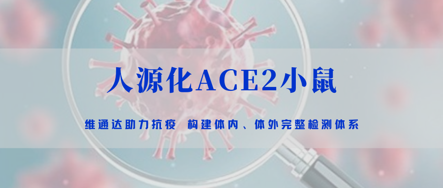 助力抗疫｜亚盈新体育app下载ACE2小鼠模型